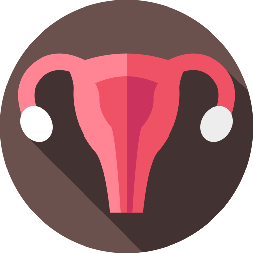 A stylized illustration of the female reproductive system, depicting the uterus and fallopian tubes.